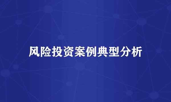 风险投资案例典型分析