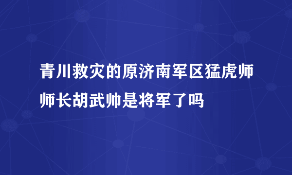 青川救灾的原济南军区猛虎师师长胡武帅是将军了吗