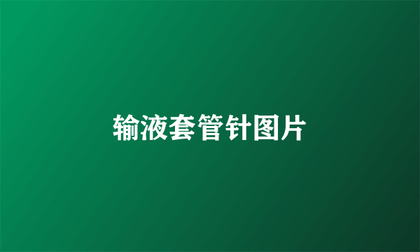输液套管针图片