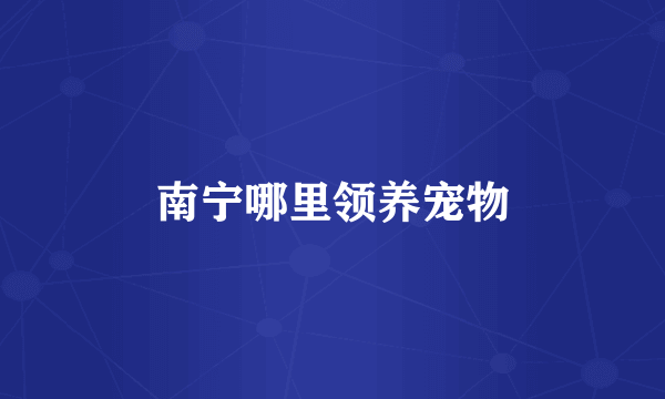 南宁哪里领养宠物