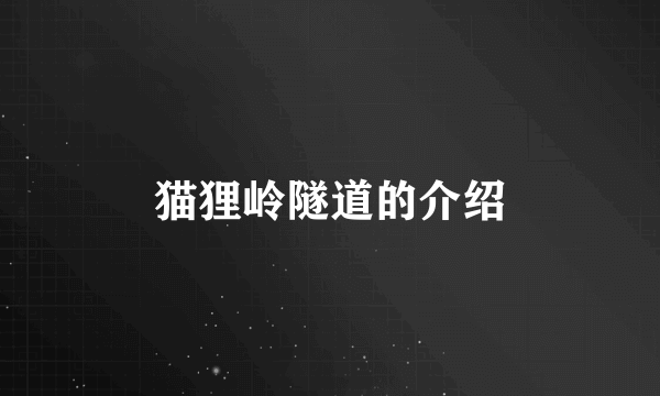 猫狸岭隧道的介绍