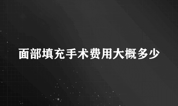 面部填充手术费用大概多少