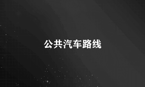 公共汽车路线