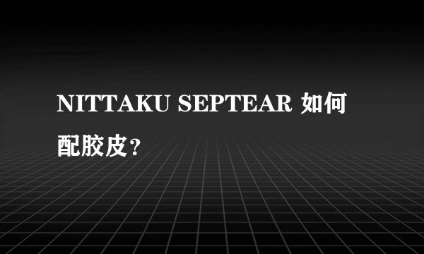 NITTAKU SEPTEAR 如何配胶皮？