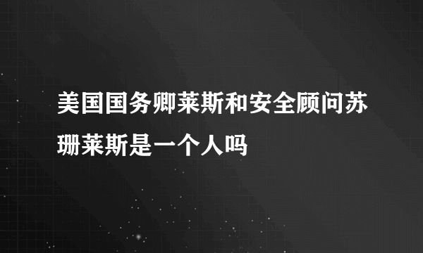 美国国务卿莱斯和安全顾问苏珊莱斯是一个人吗