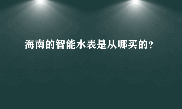 海南的智能水表是从哪买的？
