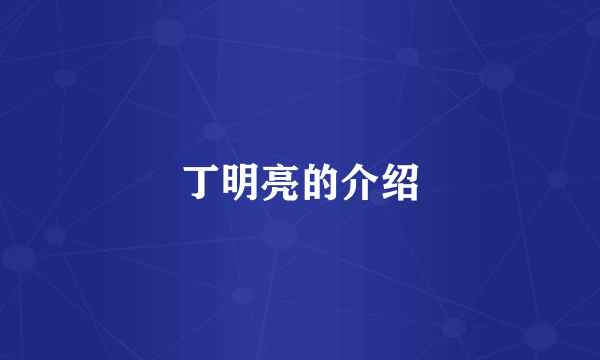 丁明亮的介绍
