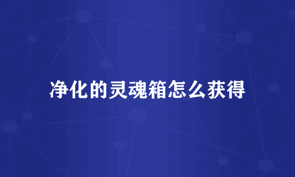 净化的灵魂箱怎么获得