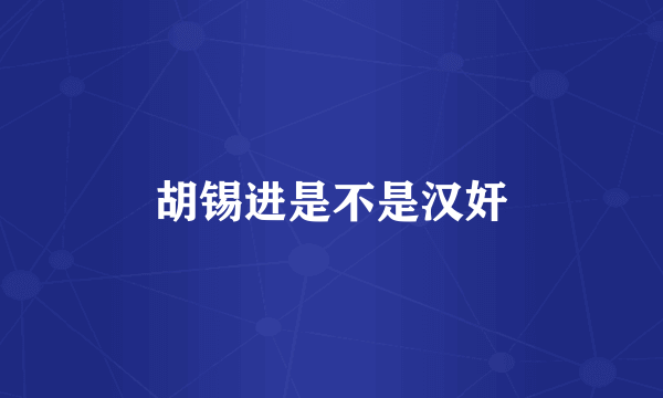 胡锡进是不是汉奸