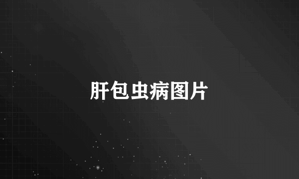 肝包虫病图片