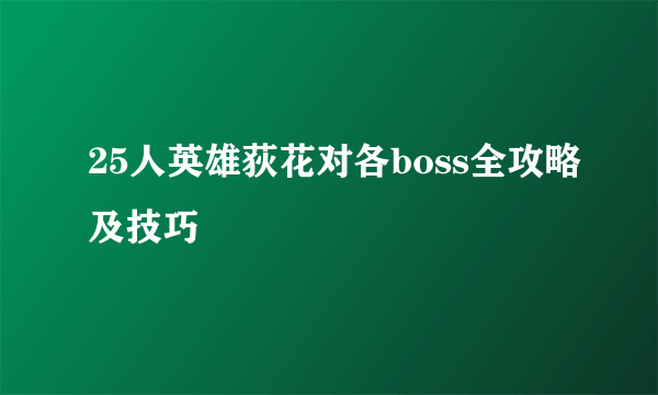 25人英雄荻花对各boss全攻略及技巧