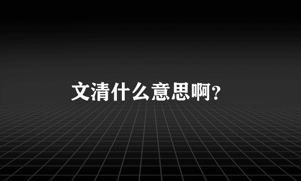 文清什么意思啊？
