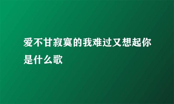 爱不甘寂寞的我难过又想起你是什么歌