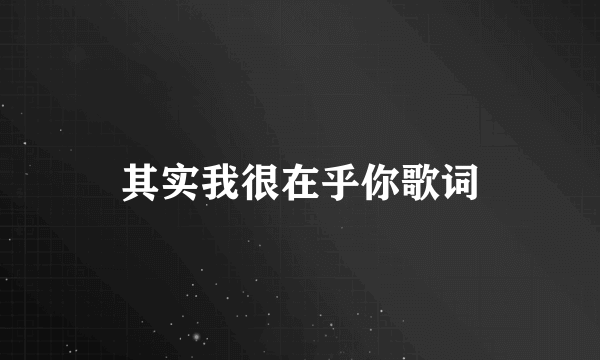 其实我很在乎你歌词