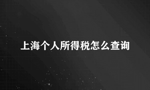 上海个人所得税怎么查询