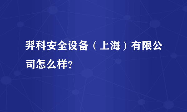 羿科安全设备（上海）有限公司怎么样？