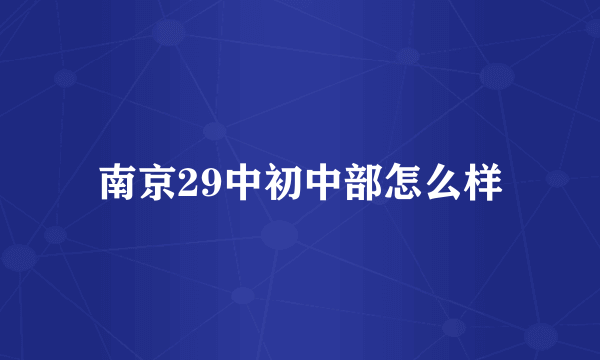 南京29中初中部怎么样