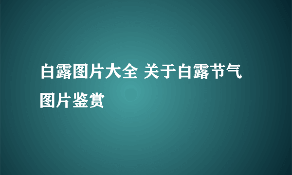 白露图片大全 关于白露节气图片鉴赏