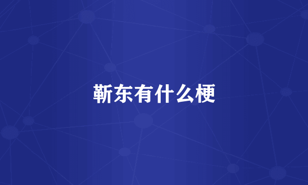 靳东有什么梗
