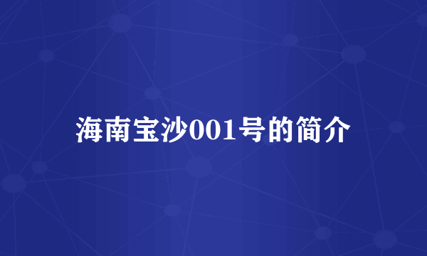 海南宝沙001号的简介