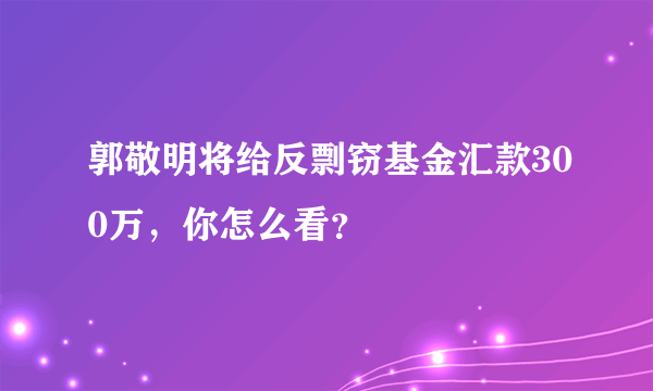 郭敬明将给反剽窃基金汇款300万，你怎么看？