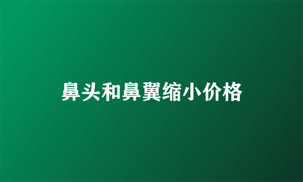 鼻头和鼻翼缩小价格