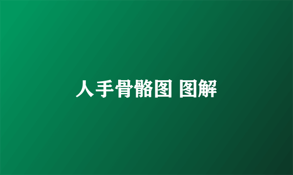 人手骨骼图 图解