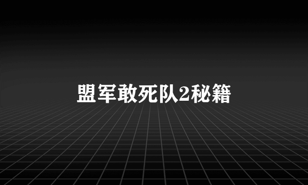 盟军敢死队2秘籍