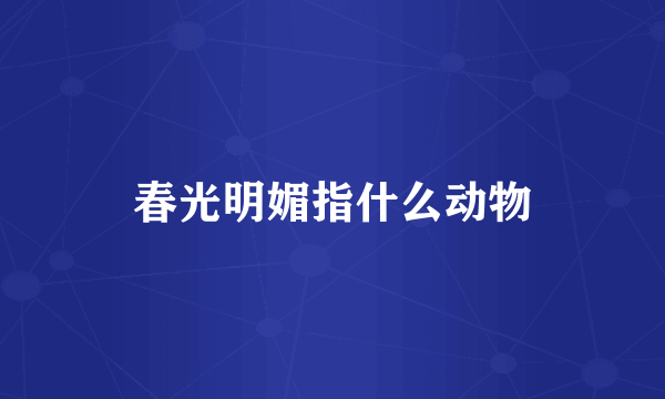 春光明媚指什么动物