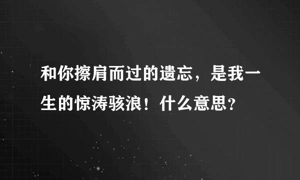 和你擦肩而过的遗忘，是我一生的惊涛骇浪！什么意思？
