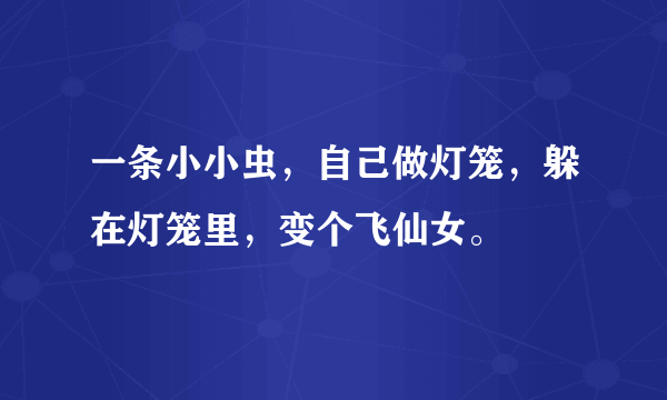 一条小小虫，自己做灯笼，躲在灯笼里，变个飞仙女。