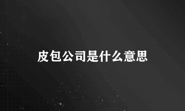 皮包公司是什么意思