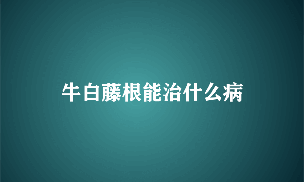 牛白藤根能治什么病