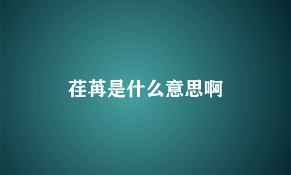 荏苒是什么意思啊