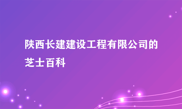 陕西长建建设工程有限公司的芝士百科