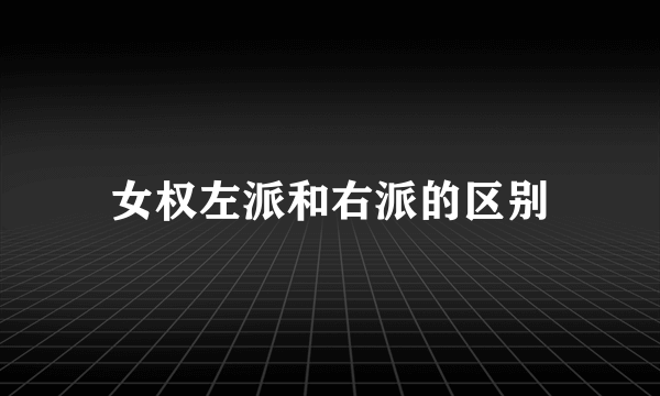 女权左派和右派的区别