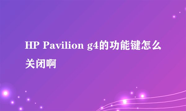 HP Pavilion g4的功能键怎么关闭啊