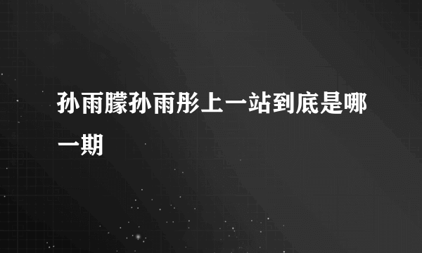 孙雨朦孙雨彤上一站到底是哪一期