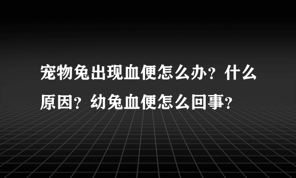 宠物兔出现血便怎么办？什么原因？幼兔血便怎么回事？