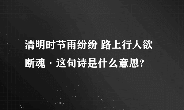 清明时节雨纷纷 路上行人欲断魂·这句诗是什么意思?