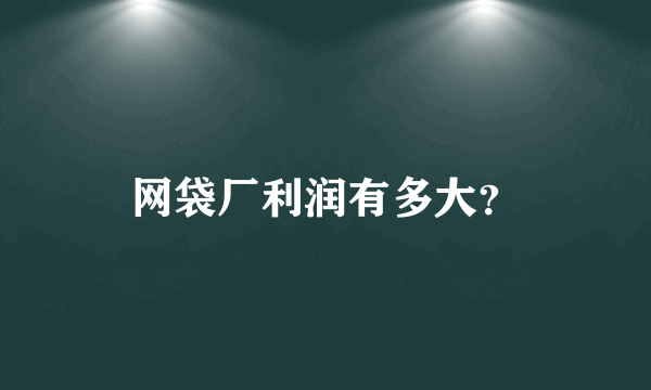 网袋厂利润有多大？