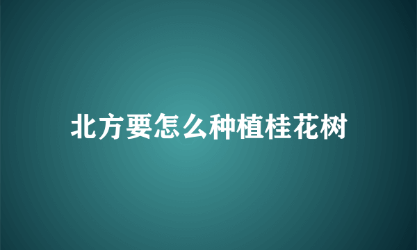 北方要怎么种植桂花树