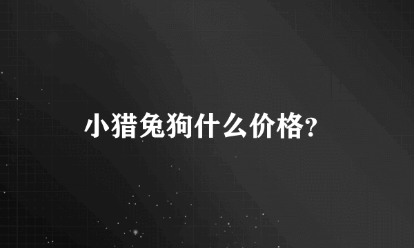 小猎兔狗什么价格？