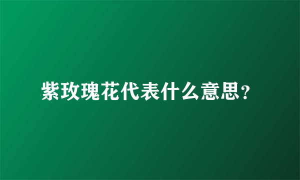 紫玫瑰花代表什么意思？