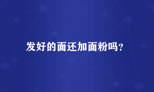 发好的面还加面粉吗？