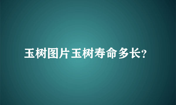 玉树图片玉树寿命多长？