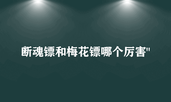 断魂镖和梅花镖哪个厉害