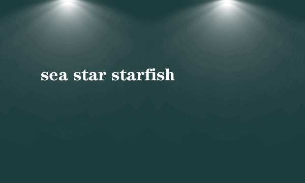sea star starfish