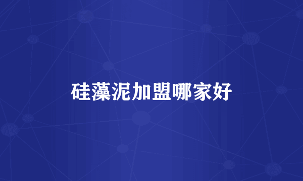 硅藻泥加盟哪家好