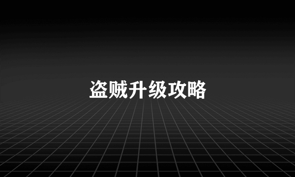 盗贼升级攻略